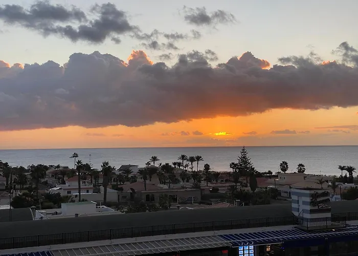 Flamingo Palm-Mar