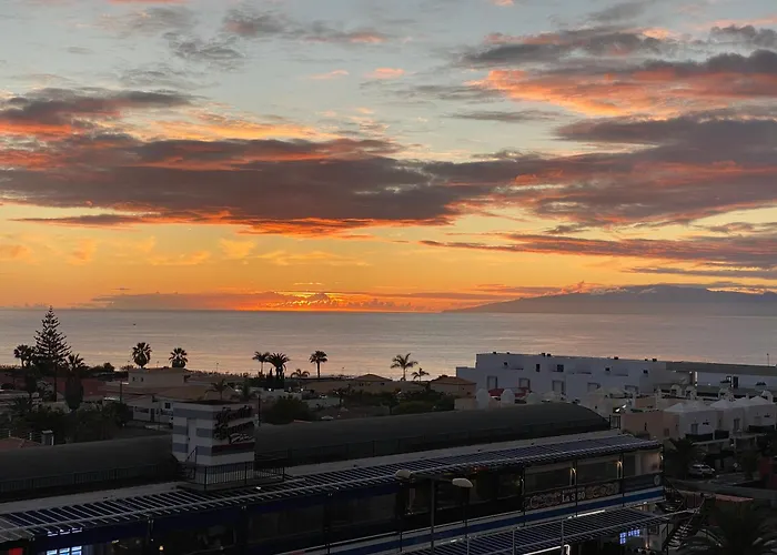 Flamingo Palm-Mar